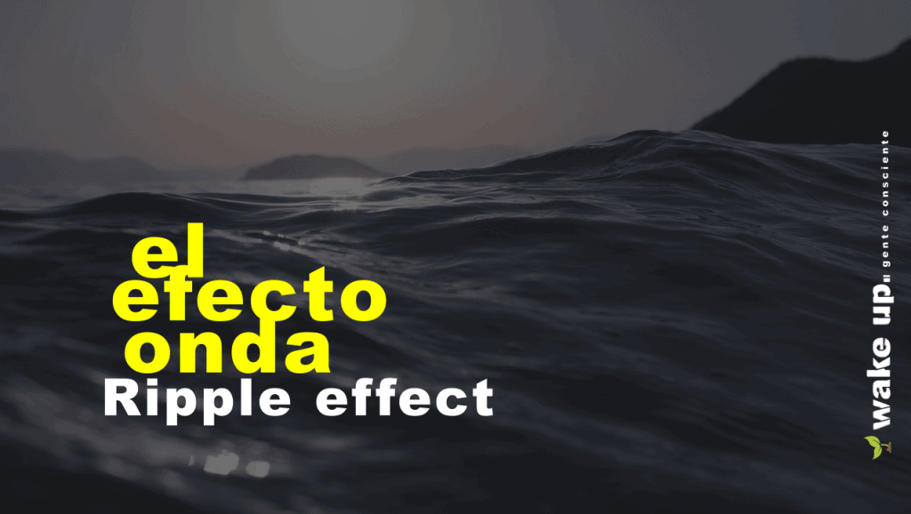 El Efecto Onda - La Gentileza se Contagia